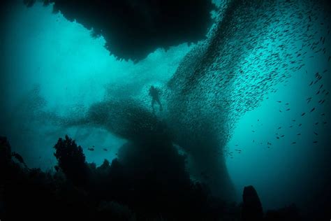 海 何パーセント 解明 - 海の神秘と人間の探求